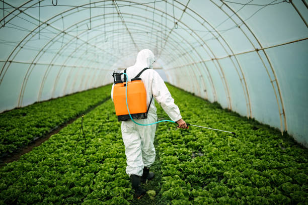 Best Affordable Pest Control Services  in Magnet Cove, AR