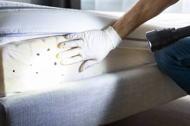 Best Best Pest Control Companies  in Magnet Cove, AR