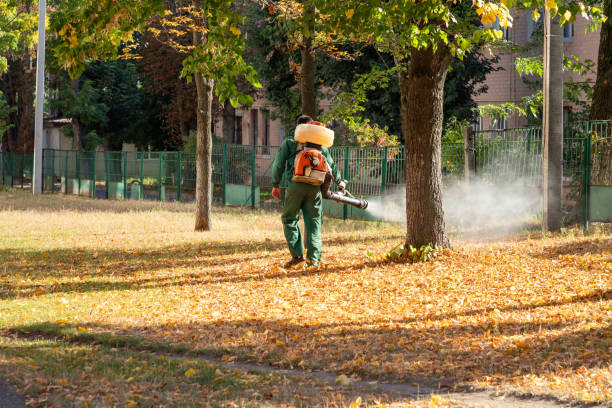Reliable Magnet Cove, AR Pest Control Solutions