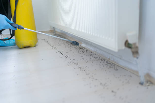 Best Exterminator Services  in Magnet Cove, AR