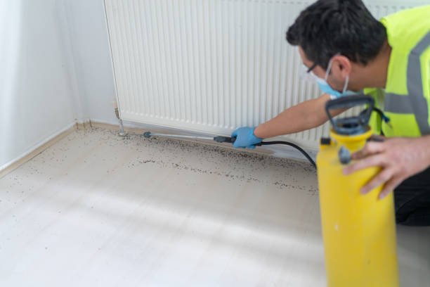 Best Termite Control Services  in Magnet Cove, AR