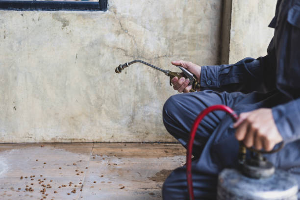 Best Pest Control Near Me  in Magnet Cove, AR