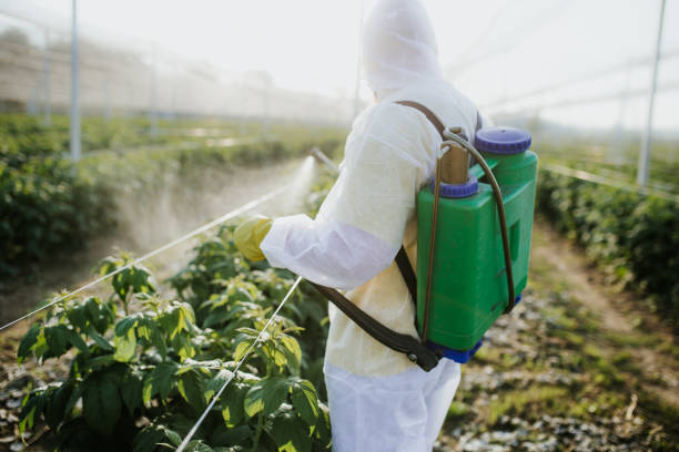 Pest Control for Restaurants in Magnet Cove, AR
